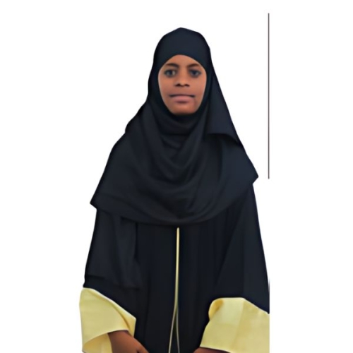 سيليت ناصر سيبرو